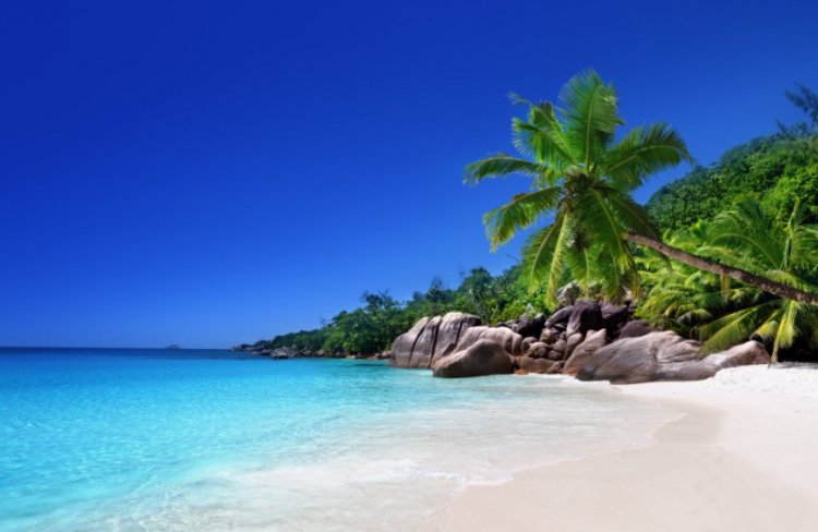 Club Med Seychelles — экошик отдых для всей семьи